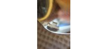 Cuillères à café Christofle