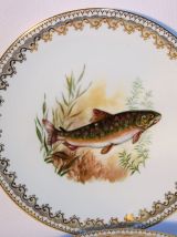 4 assiettes de Limoges - Décor de poisson. 