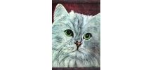 Portrait chat blanc angora aux yeux verts. 