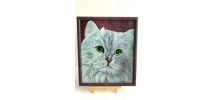 Portrait chat blanc angora aux yeux verts. 