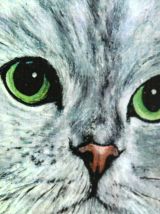 Portrait chat blanc angora aux yeux verts. 
