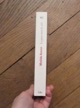 Le Pays Sous le Ciel- Matilde Asensi- Gallimard- Folio   