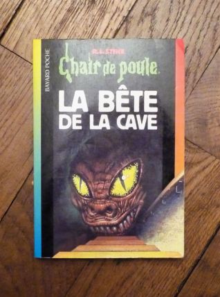 La Bête de la Cave- RL Stine- Chair de Poule n°46- Bayard  