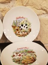 Lot de 6 assiettes à fromage Bavaria Winterling Marktleuthen