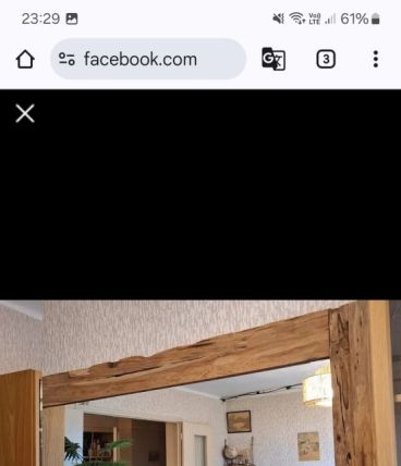 Lot de 2 miroirs en manguier