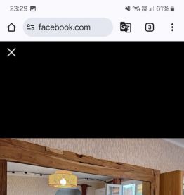 Lot de 2 miroirs en manguier