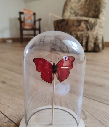 Cloche avec un papillon vintage rouge