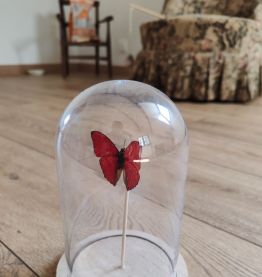 Cloche avec un papillon vintage rouge