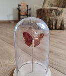 Cloche avec un papillon vintage rouge