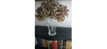 Verre doseur vintage 