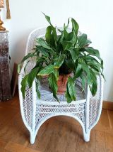 Fauteuil en rotin peacock 1970 
