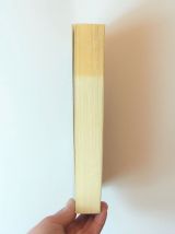 Dark- Tome 1- Claude Merle- Hachette  
