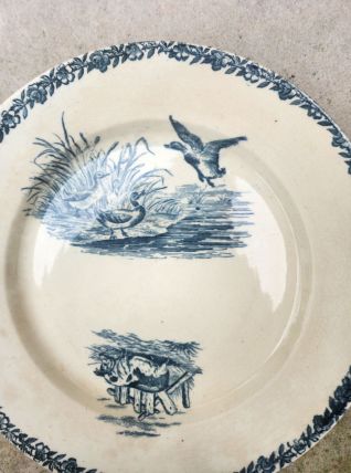 6 assiettes pexonne 