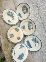 6 assiettes pexonne 