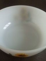 plat  ARCOPAL, vintage