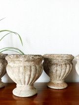 Jardinières Médicis à l’antique en pierre 