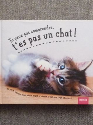 Tu Peux Pas Comprendre, T'es Pas Un Chat! - Aurélie Lemoine 