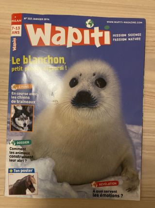 Wapiti 