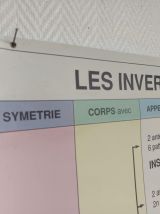 Affiche pédagogique scolaire vintage Les invertébrés 