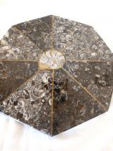 Dessous de plat en pierre et ammonite fossilisée 