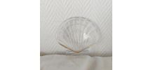 8 coupelles Saint Jacques Pyrex vintage 