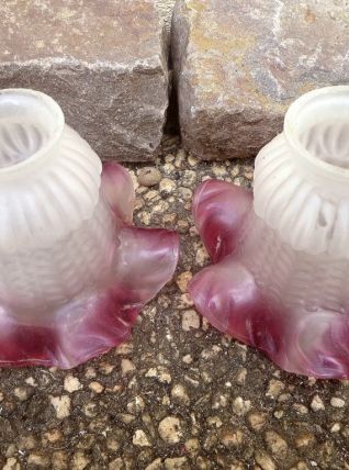 Tulipes pour lampe, vintage