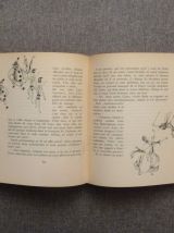 Histoire d'un Casse Noisette- Alexandre Dumas-1952- Numéroté