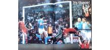 Forest, Kings Of Europe 