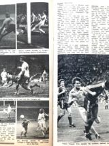 Forest, Kings Of Europe 