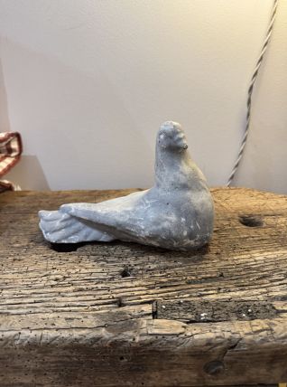 Oiseau pigeon