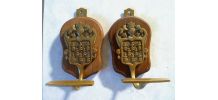 duo de patères  en laiton, vintage