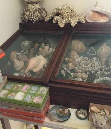 vitrine bois
