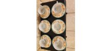 Ensemble de 6 tasses + soucoupes vintage Gallery
