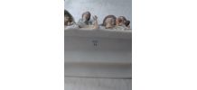 Groupe statuettes femme enfants Capodimonte