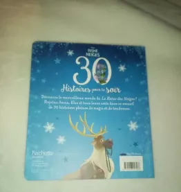 Livre La Reine des Neiges