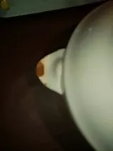 Soupière porcelaine de Digoin
