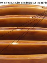  Série de 5 assiettes sarreguemines 