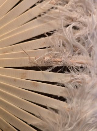Eventail ancien en plumes 