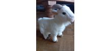 Peluche chèvre 