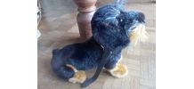Peluche chien 