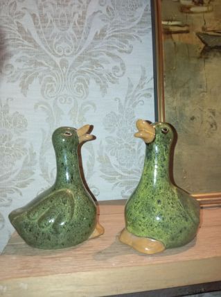 Canards 