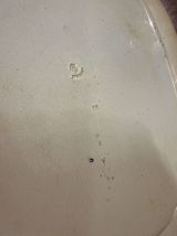 Plat en Porcelaine Anglaise