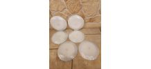 Lot 6 assiettes plates Arcopal fleuries – Vintage 70/80