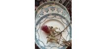 3 assiettes plates terre de fer à la bordure fleurie verte.