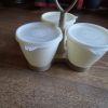 Tupperware vintage trio condiments