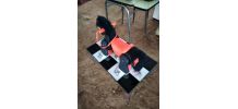 Poney Vintage Clairbois