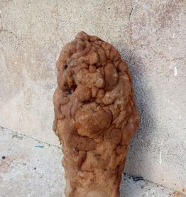 concretion appelée gogotte