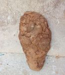 concretion appelée gogotte