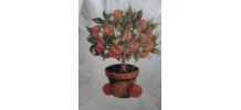 Vide poche  porcelaine de Limoges