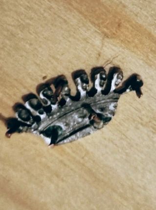  Couronne comtale miniature 